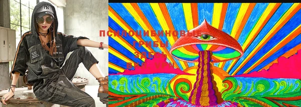 дживик Абинск