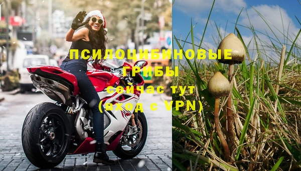 хмурый Абаза