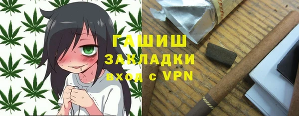 хмурый Абаза