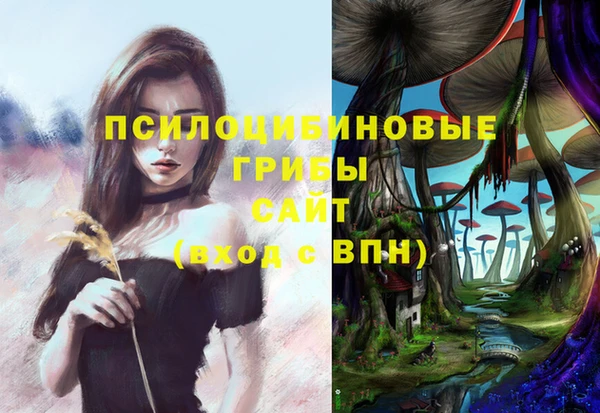a pvp Алзамай