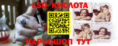 крисы Камышлов