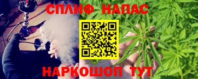 крисы Камышлов