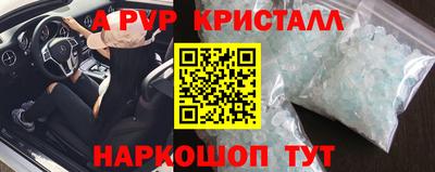 крисы Камышлов