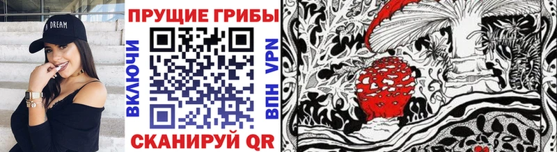 что такое наркотик Сокол Псилоцибиновые грибы Cubensis