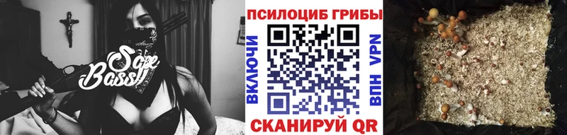 Галлюциногенные грибы Psilocybine cubensis Сокол