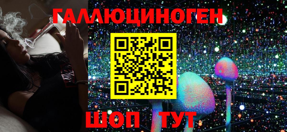 Псилоцибиновые грибы Psilocybe  Вход с VPN  Сокол 