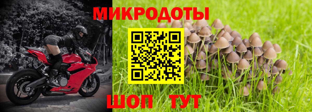 Псилоцибиновые грибы GOLDEN TEACHER Сокол