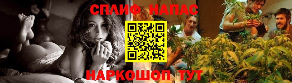 Марихуана конопля  Каннабис семена  Вход с VPN  Сокол 